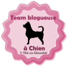 Team bloggeuse à chien